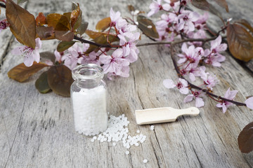 Holzlot mit Globuli und Kirschblüten