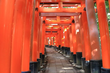 Fushimi Inari Taisya shrine Kyoto Japan