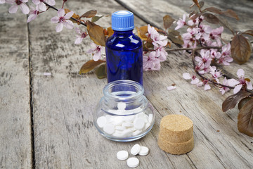 Schüssler Salze mit Bachblüten vor Kirschblüten