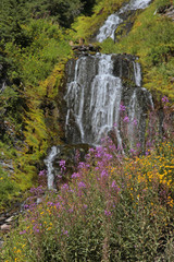 videa waterfalls n flowers