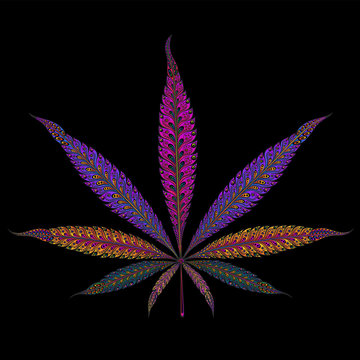 Marijuana. Color vector marijuana leaf patterns