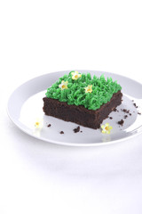 chocolate brownie with walnuts and decoration spring on a white plate - Easter 