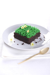 chocolate brownie with walnuts and decoration spring on a white plate - Easter 