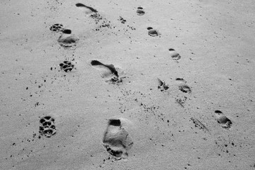 footprints in sand 3 bw