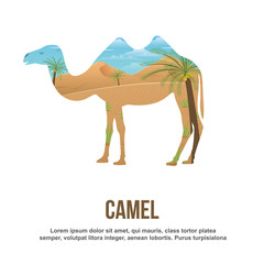 Camel Double Exposure
