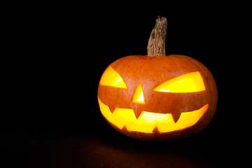 Halloween Pumpkin on dark background