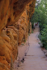 path rock wall trees n hikers