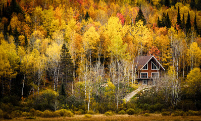 Small cottage surrounded by colors