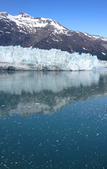 Scene from Glacier Bay, Alaska