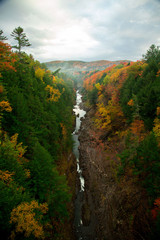 Magnificent View of a Gorge in the Season of Autumn. Leave Foliage Are Spectacular Colors in the state of Vermont.