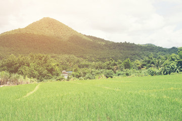The country field surrounded by mountains.
