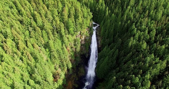 Wallace Falls Majestic Forest Scenery