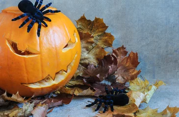 Foto op Plexiglas Halloween Pumpkin and Fall Leaves © LaurieSH