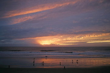 ppl on beach w ocean sunset