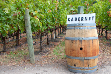 Wine Barrel in a vineyard with cabernet sign on top of it.