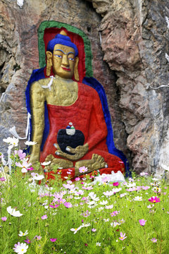 buddha n pink flowers