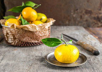 Fresh ripe tangerines in a metal pot on dark wooden background