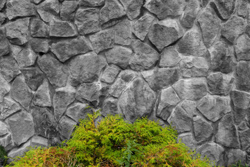 Background texture: black-whire stone wall with green bush in the center