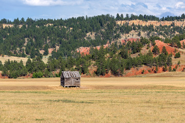 Fototapeta premium An abandoned shack and hills in eastern Wyoming on a summer day.