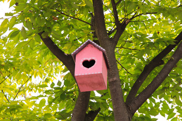 colorful bird house / A view of colorful lovely bird house, korea 