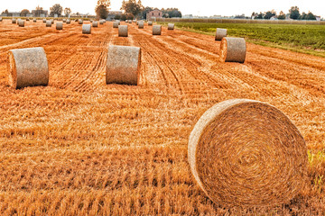 hay bales