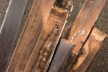 wood Plank damaged by termite