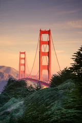 Washable wall murals Golden Gate Bridge ggb tree