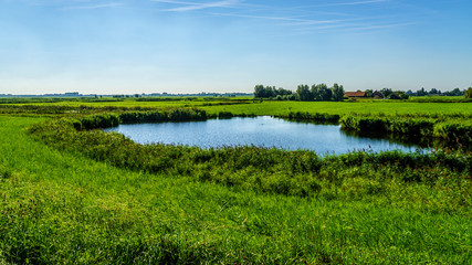A pond in flat land of a farmers field near the Veluwemeer at the town of Nijkerk in the netherlands