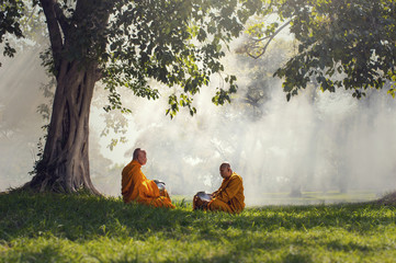 Two monks meditation under the trees with sun ray, Buddha religi - obrazy, fototapety, plakaty