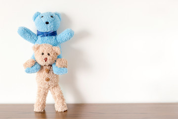 Obraz premium Two teddy bears