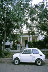 Fototapeta premium stumpy