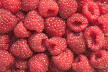 Background of ripe red raspberries, close up