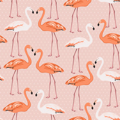Flamingo birds couple pattern on pink polka dot