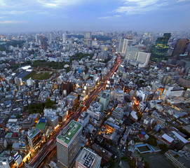 Fototapeta premium tokyo nite aerial