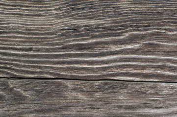 Naklejka premium Texture of the old pine planks