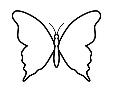 Butterfly Outline Images – Browse 53,659 Stock Photos, Vectors, and Video |  Adobe Stock