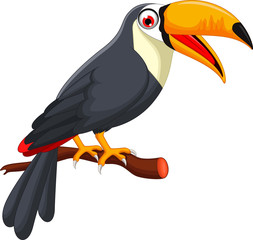 Cute cartoon toucan bird