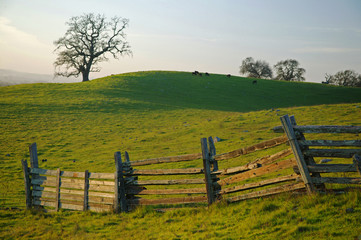 long fence n green fields