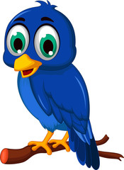 cute blue bird cartoon