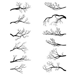 set of tree branches