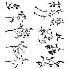 set of tree branches with leaves and berries - obrazy, fototapety, plakaty