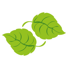 Fototapeta premium simple leaf icon image vector illustration design 