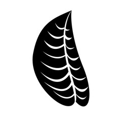 simple leaf icon image vector illustration design 