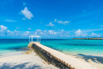 Beautiful tropical Maldives island with white sandy beach and se