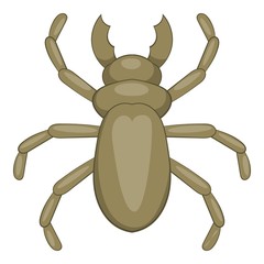 Beetle woodworm icon. Cartoon illustration of beetle woodworm vector icon for web