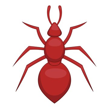 Ant icon. Cartoon illustration of ant vector icon for web