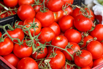 background with fresh red tomatoes in market