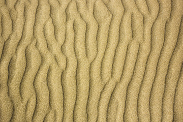 Rippled wind pattern on sand dune, located in the Bolonia Inlet, within the Estrecho Nature Park. Andalusia, Spain.
