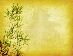 Fototapeta premium bamboo on old grunge paper texture background
