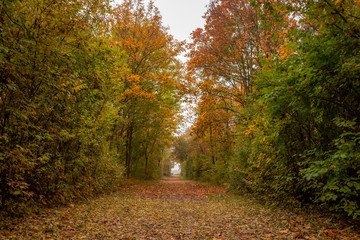 Obraz premium Walk in the Desert